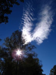Göttliche Anbindung - Zwei Wolken in Form von Engelsflügeln über einem Baum am blauem Himmel.