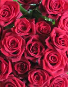 Ein Strauß roter Rosen als Geschenk für Claudia