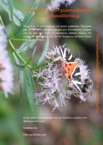 Titelseite Von der Co-Narzissmuspuppe zum Schmetterling