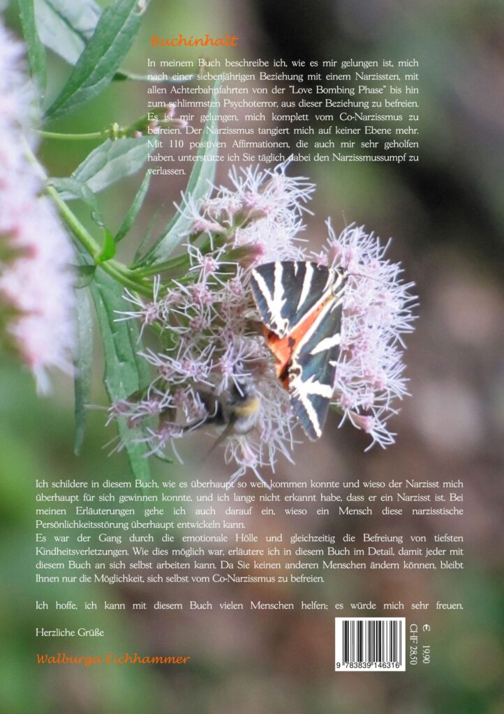 Schwarz, weiß, oranger Schmetterling mit Biene auf rosaroter Blüte