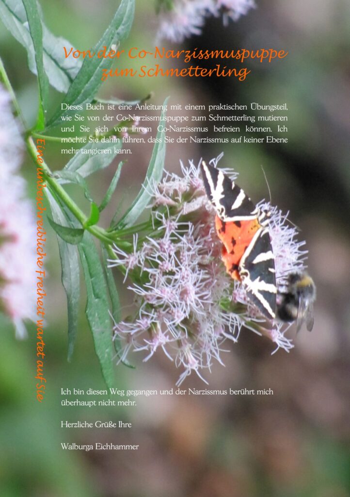 Schwarz, weiß, oranger Schmetterling mit Biene auf rosaroter Blüte